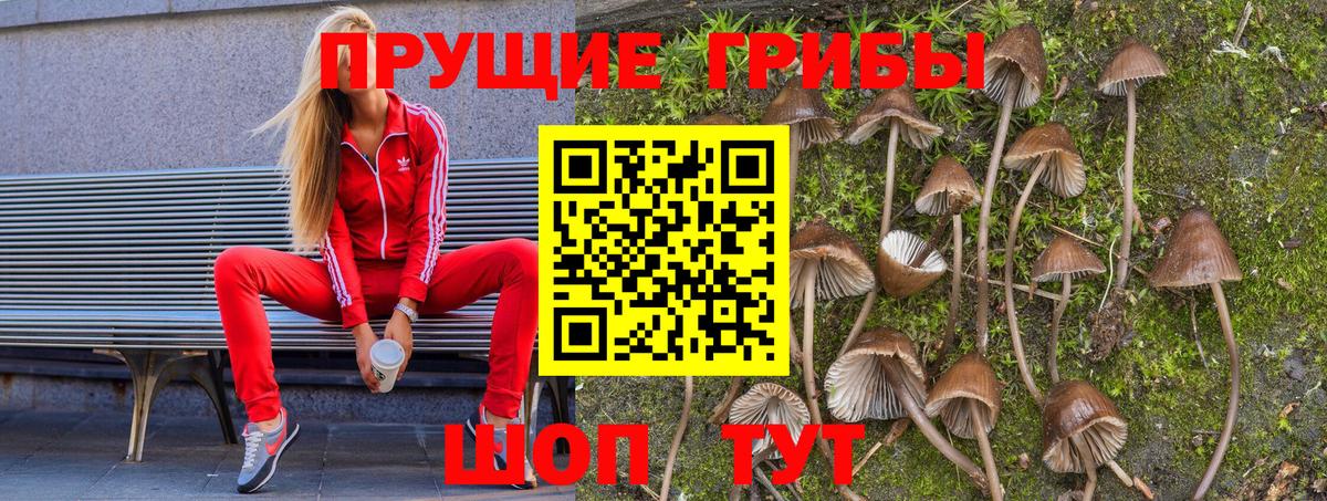 Галлюциногенные грибы прущие грибы Благовещенск