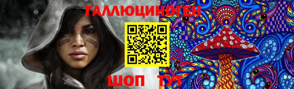 Псилоцибиновые грибы Psilocybine cubensis  Вход с VPN  Благовещенск 